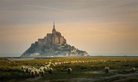 le, Mont, Saint michel, Castle, French, France, Saint, Michel ...