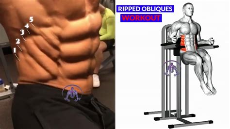 Ripped Obliques Workout V Cut Abs Youtube