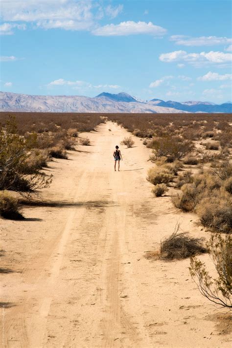 In the Mojave Desert - Southern Nevada