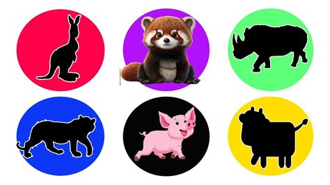 SPIN WHEEL RED PANDA BABI SAPI KANGURU HARIMAU BADAK YouTube