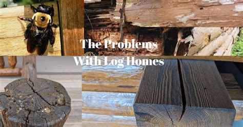 Common Log Home Problems Solutions Cabin Dreamers