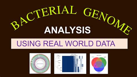 Whole Genome Sequence Analysis Bacterial Genome Analysis