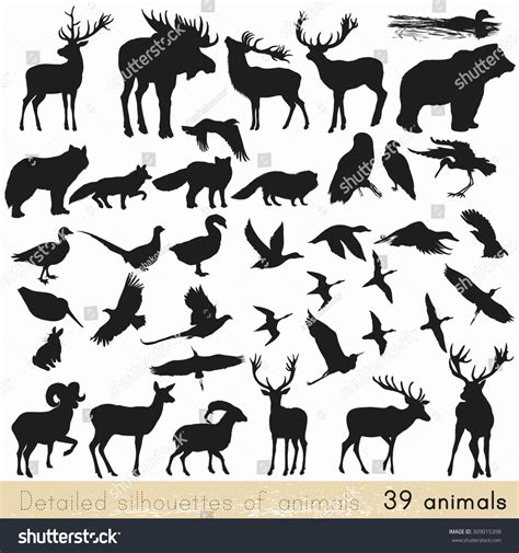 Collection Vector Detailed Silhouettes Forest Animals Stock Vector ...