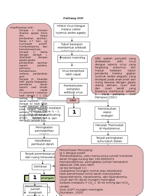 Pathway Dhf Pdf