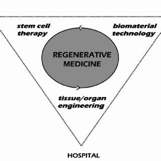 Harvested Tricortical Autograft Is Prepared For Implantation Cortical