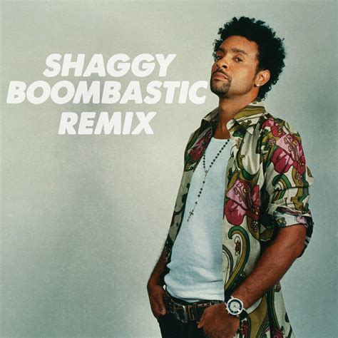 BOOMBASTIC SHAGGY REMIX | DJ PETER HACHE, SHAGGY | DJ PETER HACHE