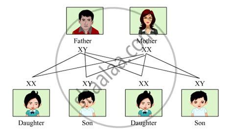 Sex Determination Shaalaa