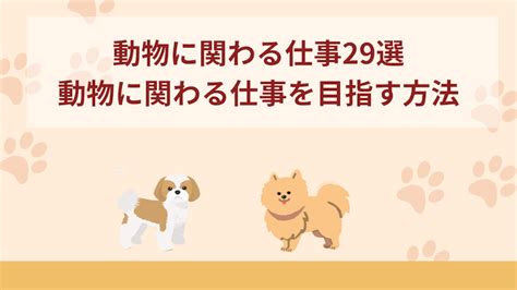 動物に関わる仕事29選！未経験から動物に関わる仕事を目指す方法｜ペットケアネットpetcare Net