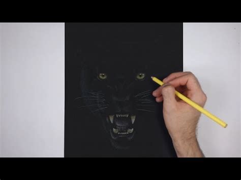 Details 177+ black panther animal drawing - nanoginkgobiloba.vn