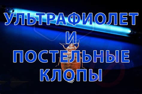 Постельные клопы и ультрафиолетовый свет