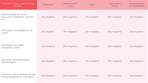 Kostenlose Vorlagen Customer Journey Map