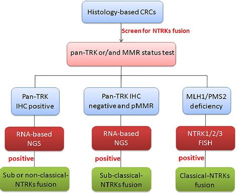 Frontiers Mlh Pms Expression Could Tell Classical Ntrk Fusion In