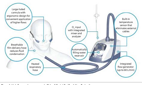 Figure 1 From High Flow Nasal Oxygen Therapy From Physiology To Clinic Semantic Scholar