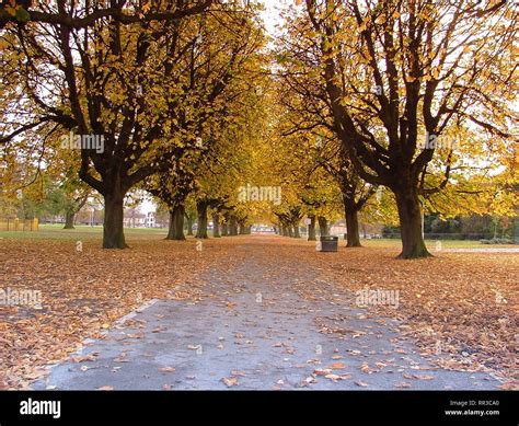 At East Park In Hull Hi Res Stock Photography And Images Alamy