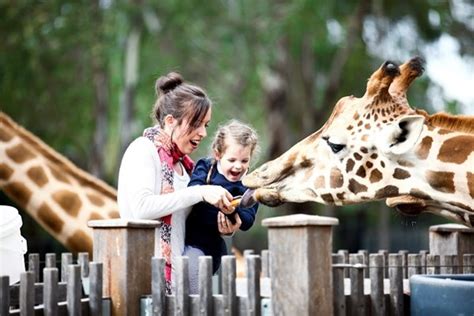 Taronga Western Plains Zoo Dubbo Nsw