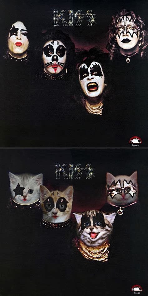 Famous Album Covers Reimagined With Kitten Charm Barnorama