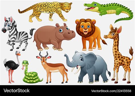 Cartoon Wild Animals On White Background Vector Image