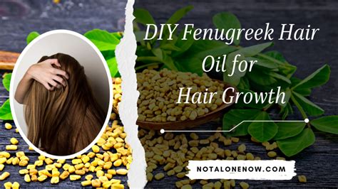 Homemade Fenugreek Oil For Hair Fall Control Noah S Digest