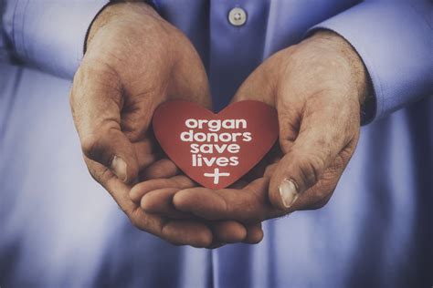 Reasons To Donate Organs