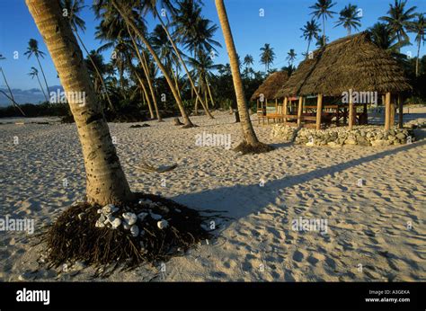 Falealupo hi-res stock photography and images - Alamy