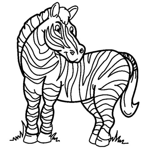 Zebra Print Coloring Pages - Coloring Home