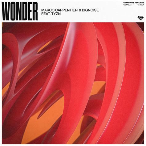 Wonder Marco Carpentieri Bignoise Feat Tyzn