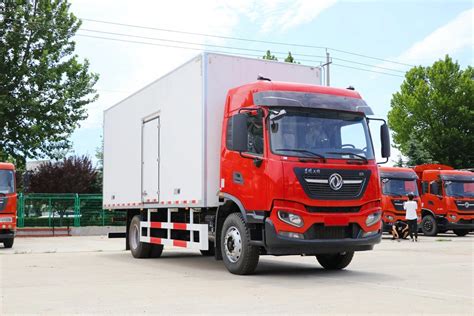 Dongfeng Refrigerator Truck Tons Tons Refrigerated Freeze Van Truck