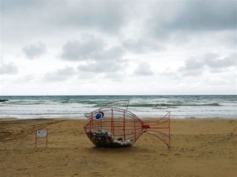 I Pesci Mangia Plastica Invadono Le Spiagge Italiane