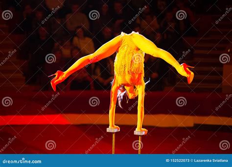 Girl Equilibrist Hanging Upside Down In Circus Slender Woman Showing