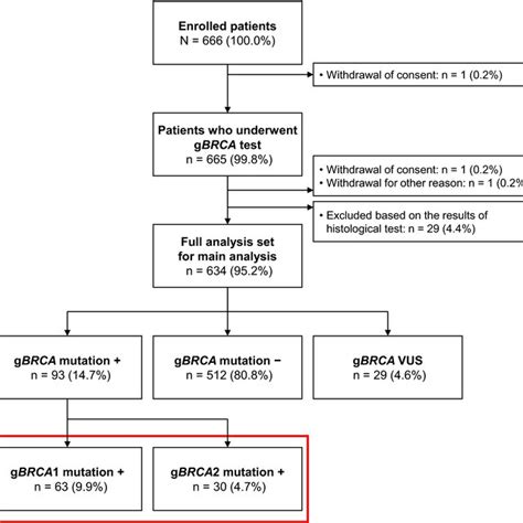 Study Flow Brca Breast Cancer Susceptibility Gene G Germline Vus