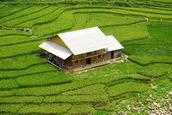 Cosa Si Pu Fare E Costruire Su Area Verde Privata Vincolata O Senza