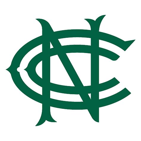 Nottinghamshire Cricket logo transparent PNG - StickPNG