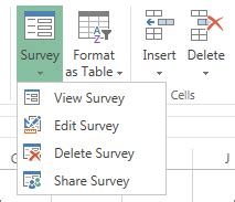 Survey Excel Template