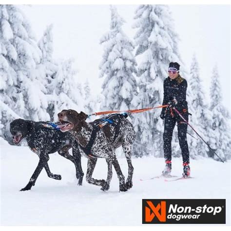 Ligne De Trait Pour VTT Ou Patinette NON STOP Sport Canin