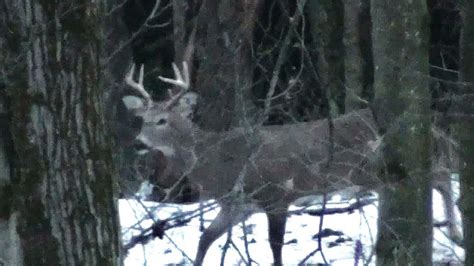 Rifle Buck Season Deer Hunting 2013 Opening Day John Youtube