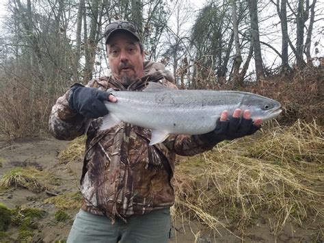 Umpqua River Fishing