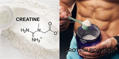 Is Creatine In Protein Powder? Plus Top Picks in 2024 | A Lean Life