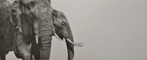 Clive Meredith Wildlife Art: 'Chobe Elephants I' 5.5" x 15"