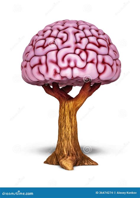 Brain Tree Illustration Stock Illustration Illustration Of Power