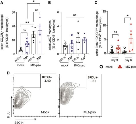 The Increase In Colonic CX 3 CR 1 Hi Macrophages In Psoriasis Is Due To