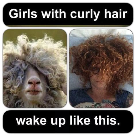 Curly Girl Problems Curly Hair Styles Curly Girl Problems Curly