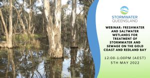 Webinar Freshwater And Saltwater Wetlands For Treatment Of Stormwater