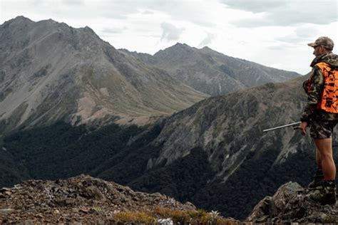 Mountain Safety Council New Zealand Read