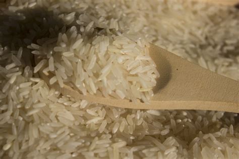 Ecuador exportará arroz a Colombia Notimundo