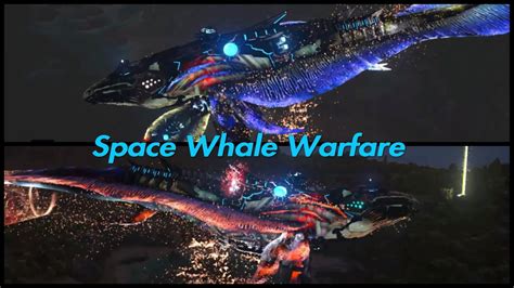 How To Tame Space Whale Ark