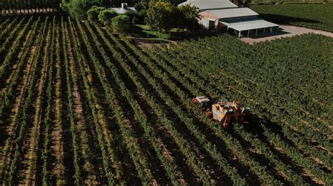 Bertoya Cumplimos El Sue O De Ser Referentes En La Vitivinicultura