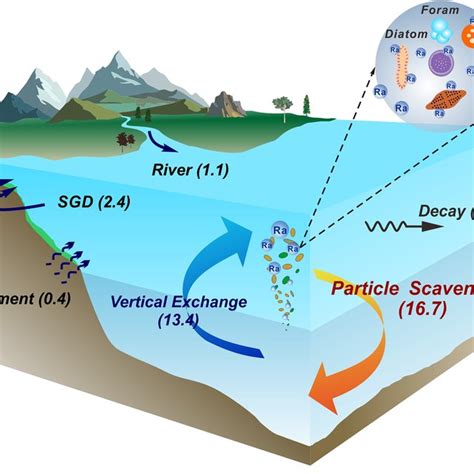 A Two‐layer Mass Balance Model Of ²²⁶ra For The Global Ocean The Download Scientific Diagram