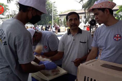 Hari Rabies Sedunia 2023 33 Ribu Hewan Peliharaan Mendapat Vaksin