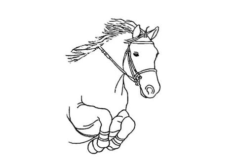 How To Draw A Horse Jumping With A Rider