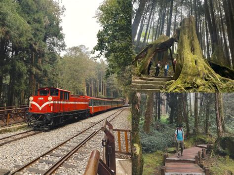 阿里山國家森林遊樂區｜嘉義景點、門票優惠、交通懶人包｜景點資訊 －嗨放havefunday